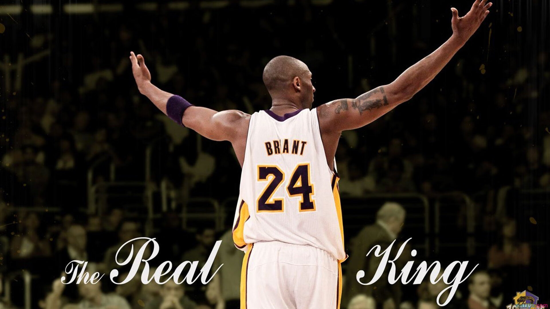 欧文关键战不手软，开拓者粉碎猛龙，诠释何为大心脏