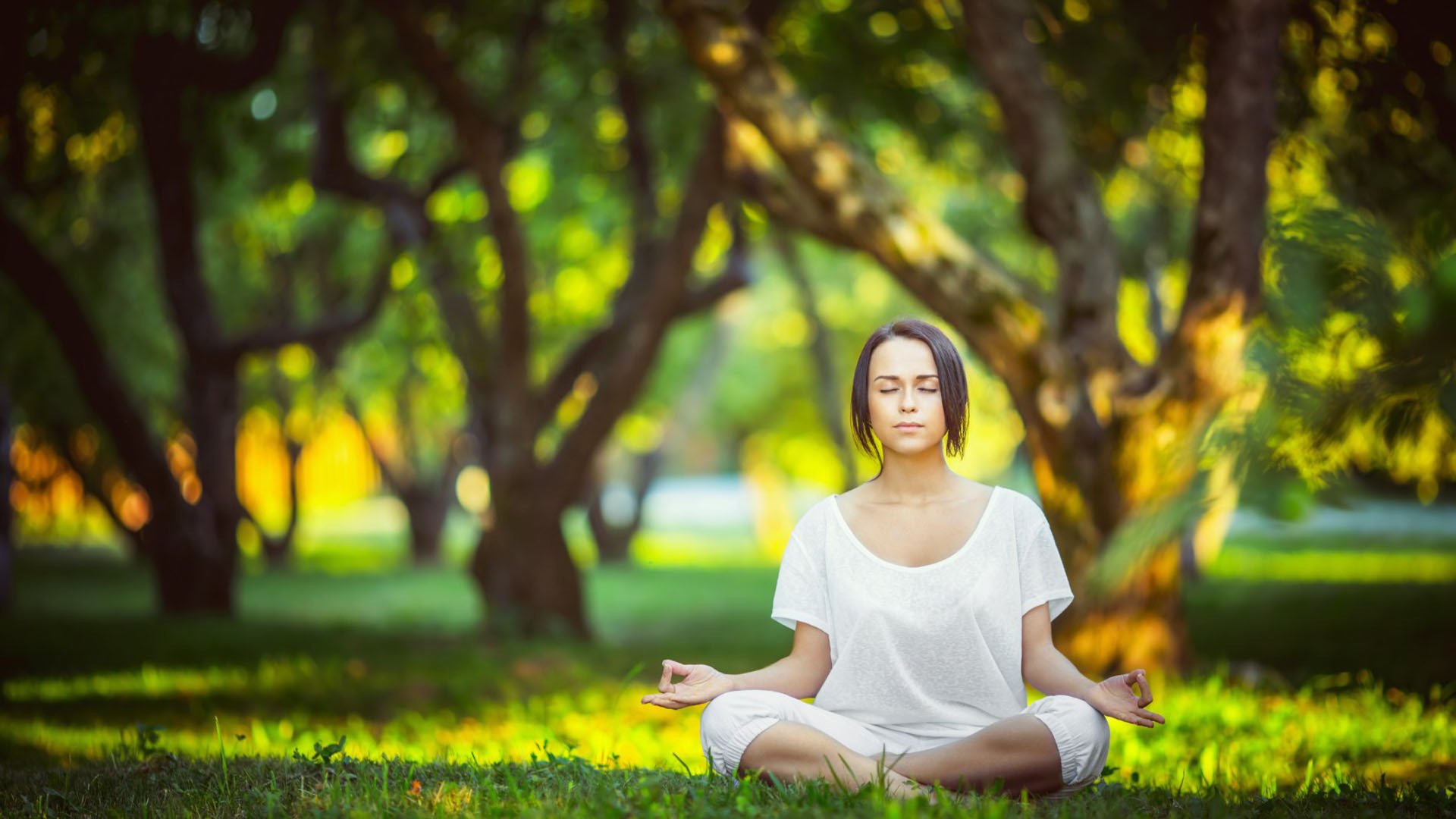 从戴维斯杯绝境到年终之巅，蒂姆的领袖之路与一场史诗翻盘